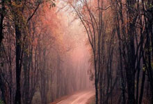 爱体育官网:三井住友女子高球赛吉田优利大赢9杆 石昱婷T13.