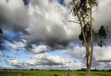 张雨霏,已任高校游泳学院副院长.